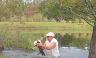 Un homme de 74 ans se bat avec un alligator pour sauver son chien
