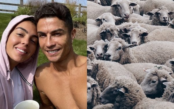 Cristiano Ronaldo n’en peut plus : il déménage à cause des moutons