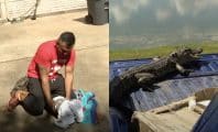 MMA : Un alligator s'introduit chez un combattant qui finit par le mettre KO