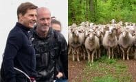 Mission Impossible 8 : Des moutons perturbent Tom Cruise et le tournage du film