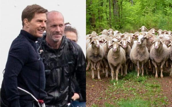 Mission Impossible 8 : Des moutons perturbent Tom Cruise et le tournage du film