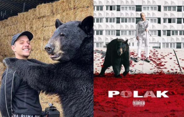 PLK a retrouvé l’ours de la cover de son premier album « POLAK »