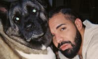 Drake exige que les rappeurs l'appellent désormais « papa »
